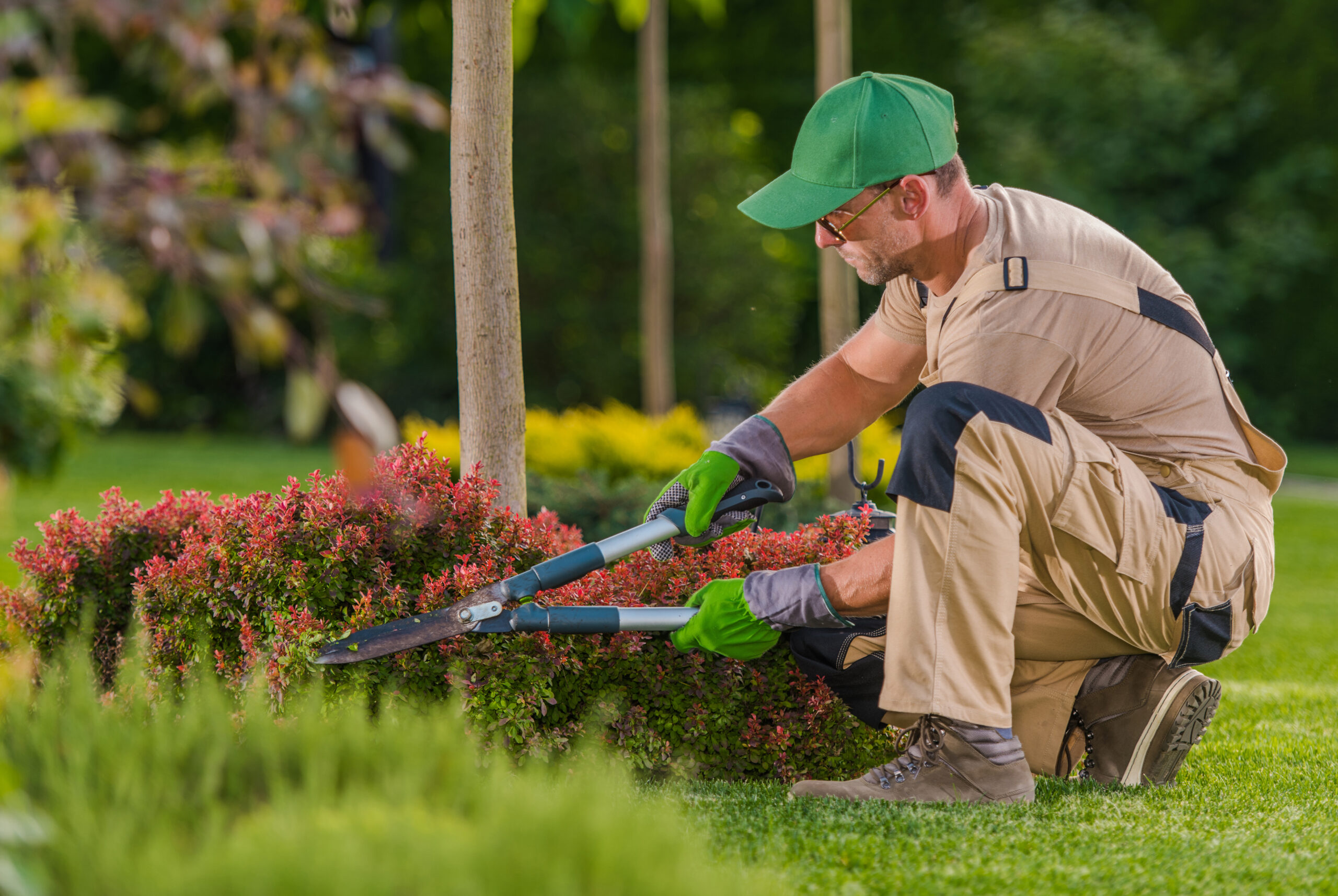 Landscaping Insurance Colorado