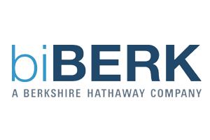 BiBerk insurance